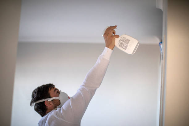 Best Commercial Mold Removal  in East Stroudsburg, PA