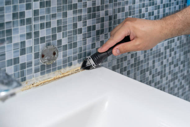 Best Mold Remediation  in East Stroudsburg, PA